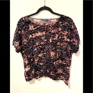 Club Monaco Velvet/Sheer Top